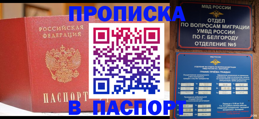 временная регистрация в квартире в Белой Калитве